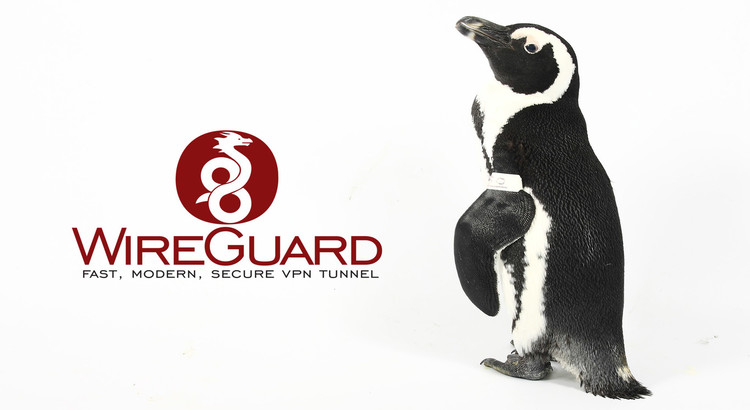 WireGuard, el VPN open source admirado por Linus Torvalds, será parte del kernel de Linux