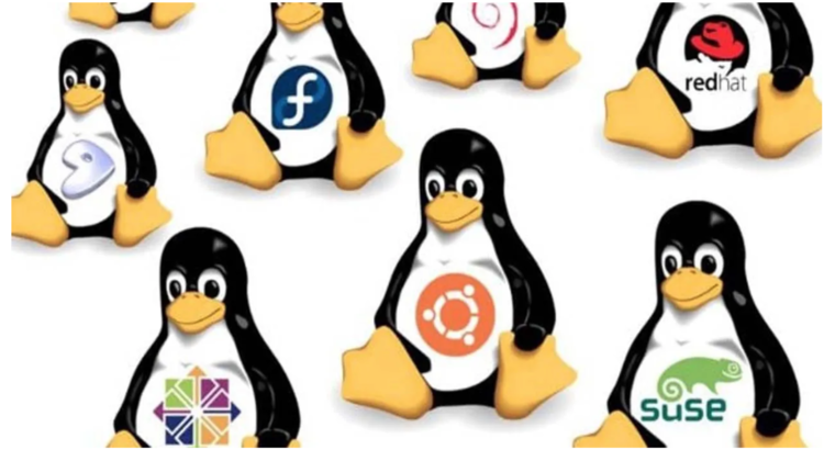 ¿Ubuntu, Debian, Linux Mint, Kali? ¡Los resultados de la encuesta de julio ya están listos!